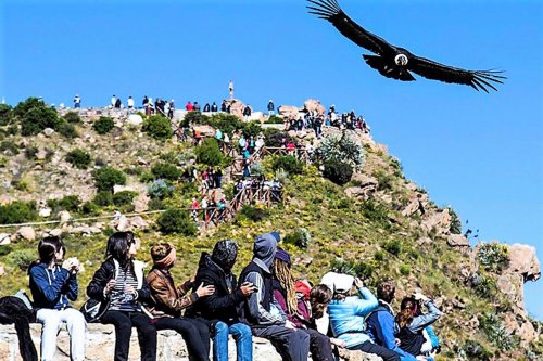 Velký Okruh Říší Inků