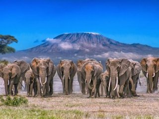 KEŇA – SVĚTOVÉ SAFARI V ZEMI MASAJŮ