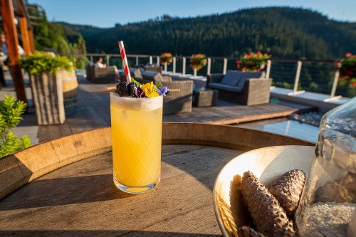 Wellness Hotel Horal