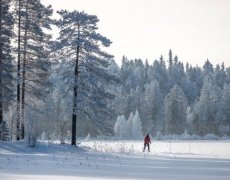 NA BĚŽKÁCH FINSKOU TAJGOU KOMFORTNĚ
