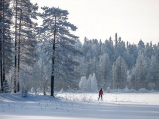 NA BĚŽKÁCH FINSKOU TAJGOU KOMFORTNĚ