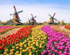 Květinový park Keukenhof s návštěvou Amsterdamu