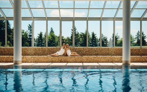 Hotel Forest Videc