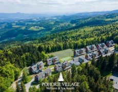 Hotel Forest Videc