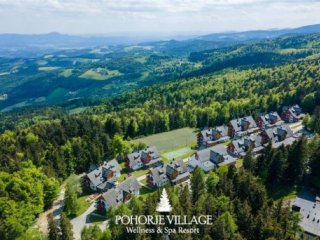 Hotel Forest Videc Hotel Forest Videc
