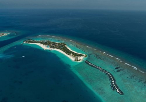 JOY Island