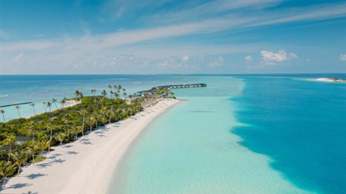 JOY Island