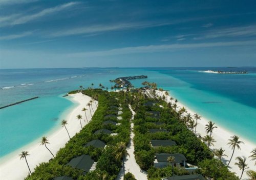 JOY Island