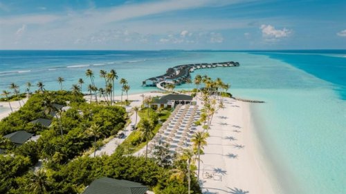 JOY Island