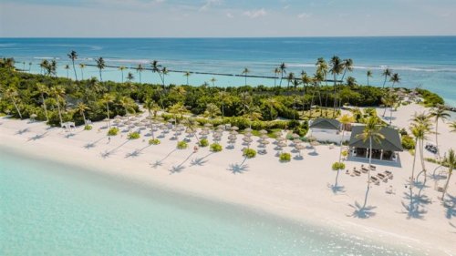 JOY Island