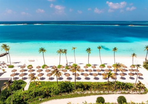 JOY Island