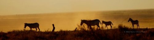 Keňa – safari pod Mount Kenya