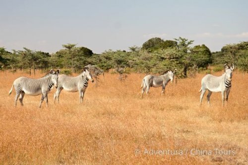 Keňa – safari pod Mount Kenya
