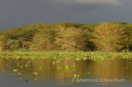 Keňa – safari pod Mount Kenya