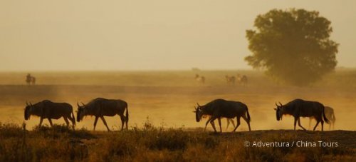 Keňa – safari pod Kilimandžárem a Indický oceán