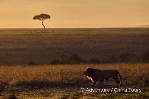 Magická Keňa – Masai Mara a ostrov Lamu