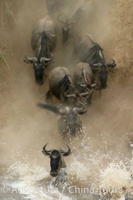 Magická Keňa – Masai Mara a ostrov Lamu