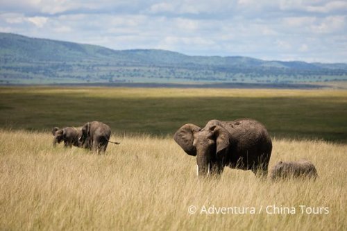 Magická Keňa – Masai Mara a ostrov Lamu