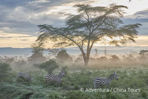 Magická Keňa – Masai Mara a ostrov Lamu