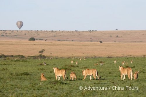 Magická Keňa – Masai Mara a ostrov Lamu