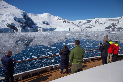 South Georgia and Antarctic Peninsula: Penguin Safari (World Voyager)