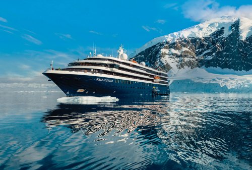 Antarctic Marine Mammals: The World of Whales and Seals (World Voyager)