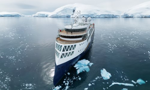 Penguins of the Far South: Falklands, South Georgia and Antarctica (Ocean Explorer)