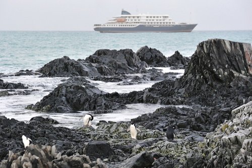 Fair Isle, Jan Mayen, Ice Edge, Spitsbergen, Birding Special (m/v Hondius)