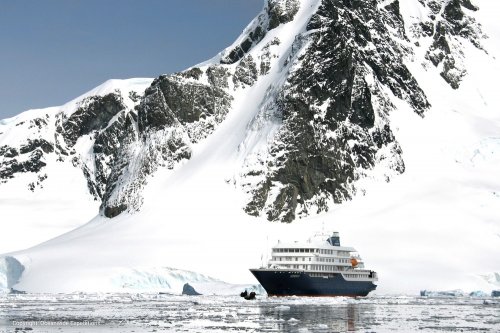 Falkland Islands, South Georgia & Antarctic Peninsula (m/v Hondius)