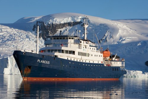 Elephant Island, Weddell Sea, Polar Circle (m/v Plancius)