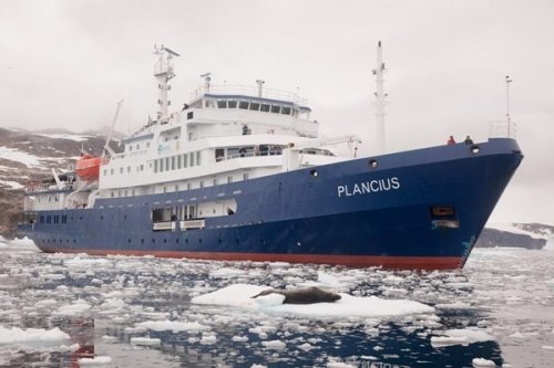 Elephant Island, Weddell Sea, Polar Circle (m/v Plancius)