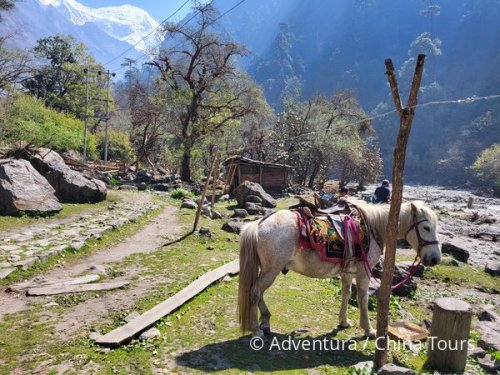 Nepál – treking květinovým údolím Langtang