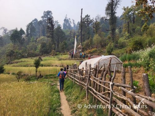 Nepál – treking květinovým údolím Langtang