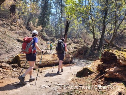 Nepál – treking květinovým údolím Langtang
