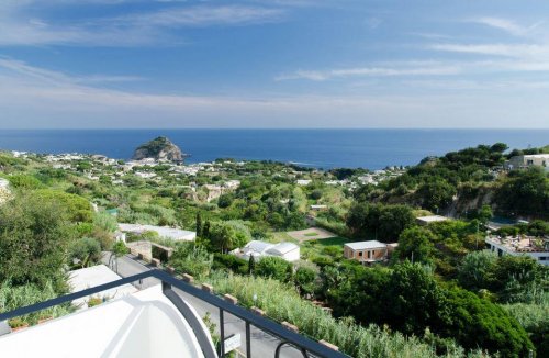 La Ginestra