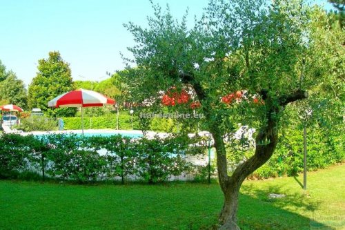 Borgo dell´Ulivo