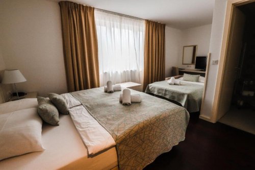 Hotel Borovnik