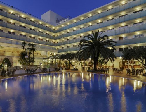 H10 Delfin - Adults Only