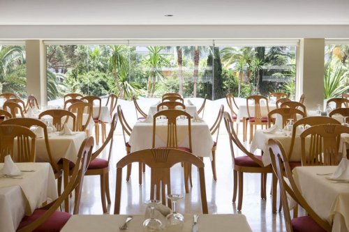 H10 Delfin - Adults Only