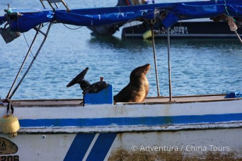 Ekvádor, Galapágy a Amazonie