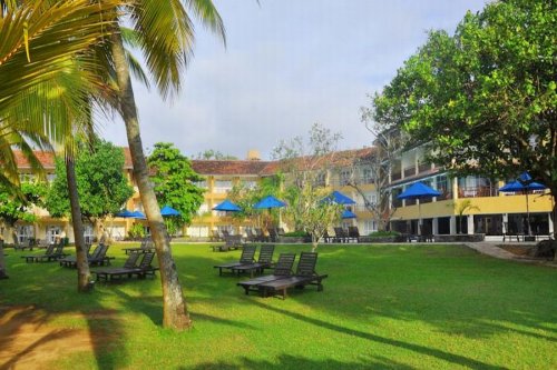 THE PALMS HOTEL 4