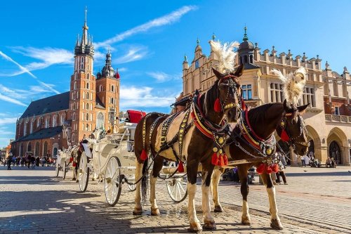 Krakow, město králů