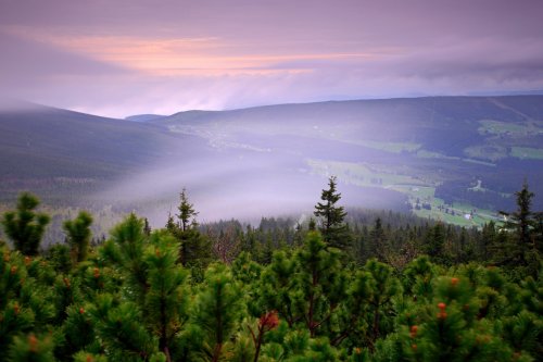 Pytloun Wellness Hotel Harrachov, Rodinný pobyt v týdnu (5 nocí)