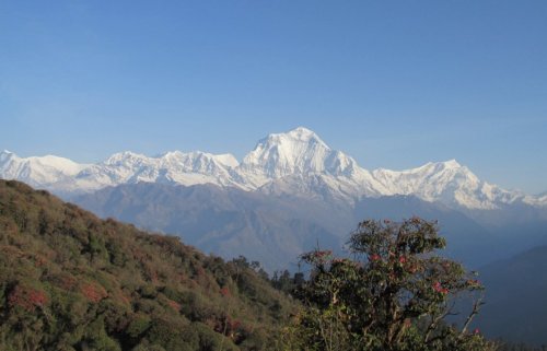 Trek pod Annapurnou (expedice)