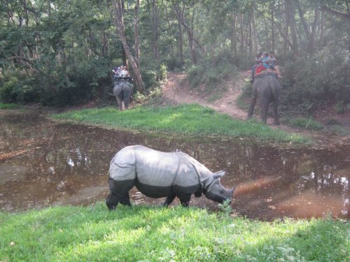 Nepál - královská města, Himaláje a safari v Chitwanu