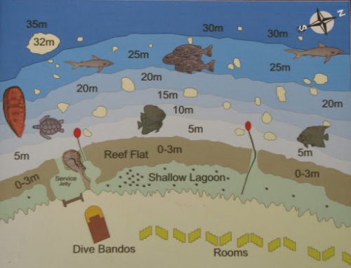 Bandos Island Resort 4, Maledivy, 10 dní