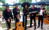 Hotel Reef Playacar 4, Playa del Carmen, 9 dní, Hotel The Reef Coco Beach 4, Playa del Carmen, 7 dní Hotel The Reef Coco Beach 4, Playa del Carmen, 7 dní