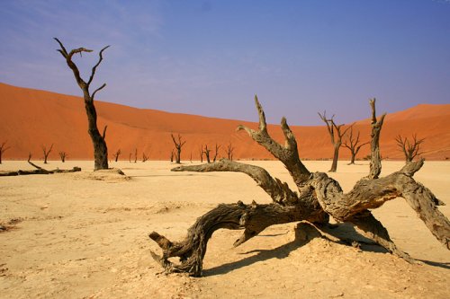 Podivuhodná Namibie