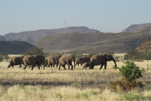 Podivuhodná Namibie