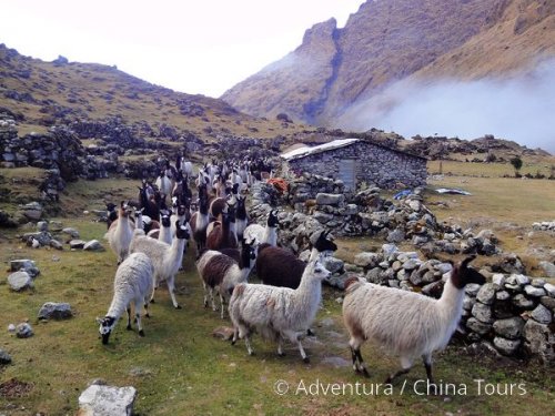 Peru – treking pod Huascaránem